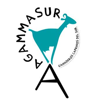 Logo-agammasur