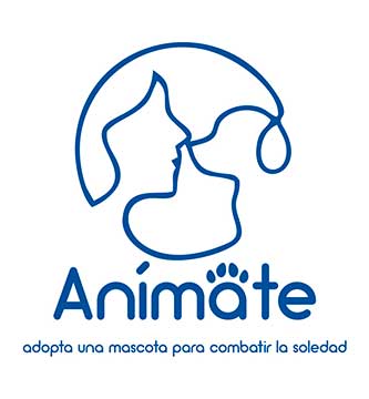 Logo-animate