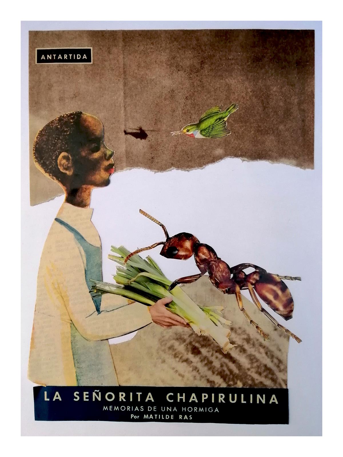 la señorita chapirulina